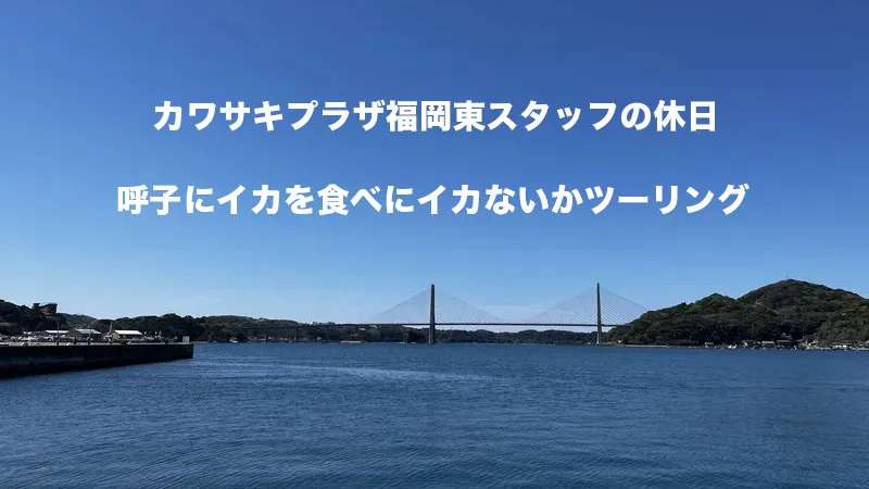 呼子の海と呼子大橋の画像